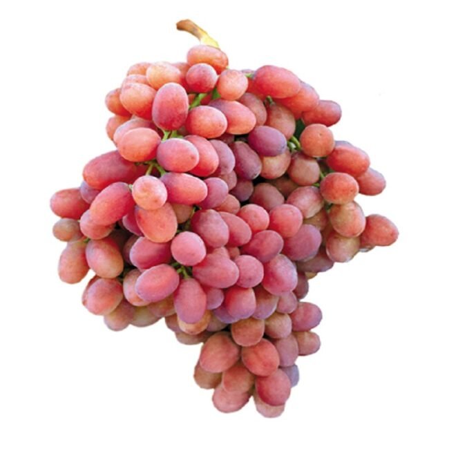 451-RED-GRAPES-CRIMSON-SEEDLESS.jpg