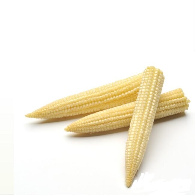 Baby-corn.jpg