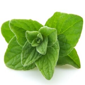 green zaatar 1kg
