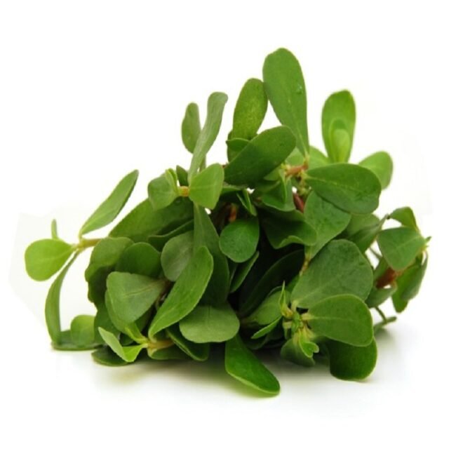 Purslane.jpg