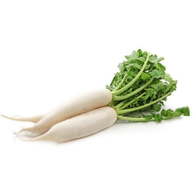 Radish_White.jpeg