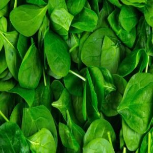 Baby Spinach- Italy