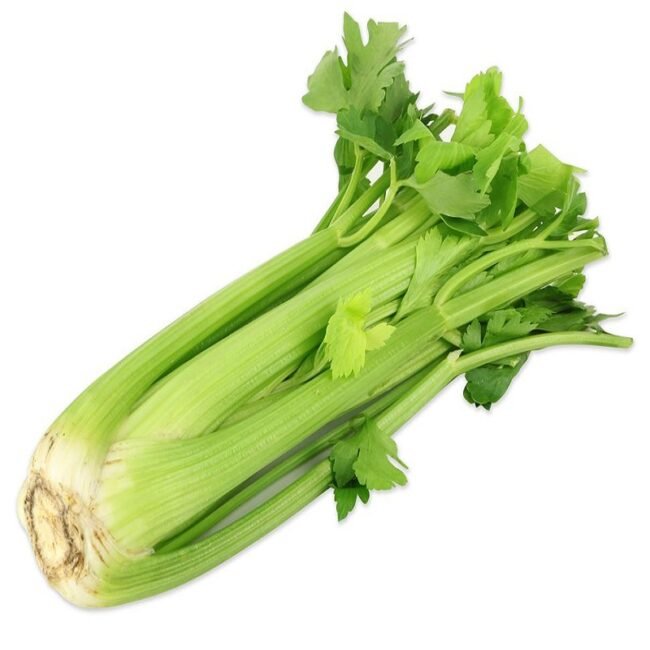 celery.jpg