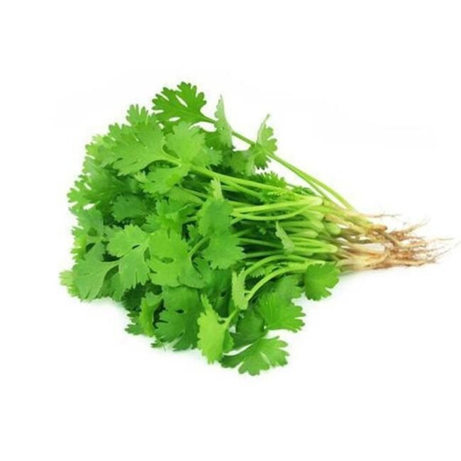 coriander-leaves.jpg