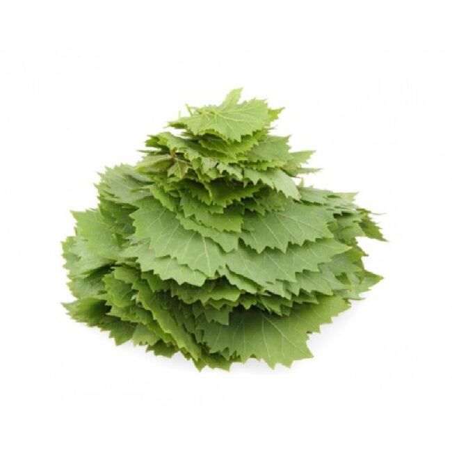 fresh-vine-leaves.jpg