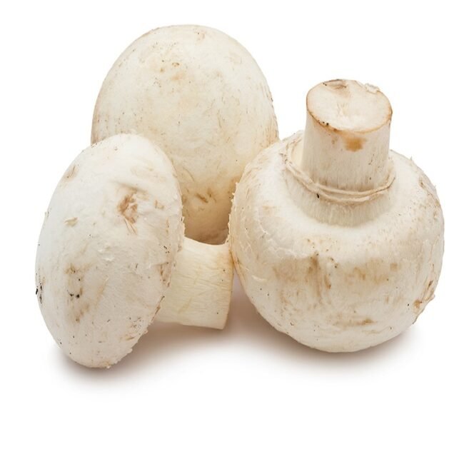 Champignon mushrooms