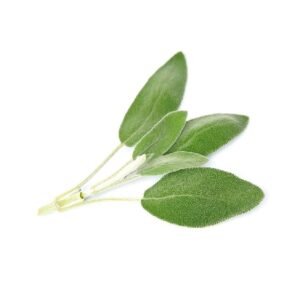 Sage Jordan 1bundle,250g