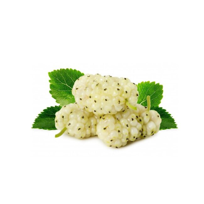 white-mulberry-pack-2998182.jpg