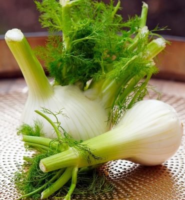 fennel-6947467_640